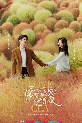 家用商品网站排名优化